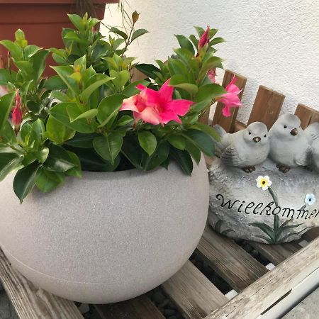 Olive Apartment Uhldingen-Muhlhofen Bagian luar foto